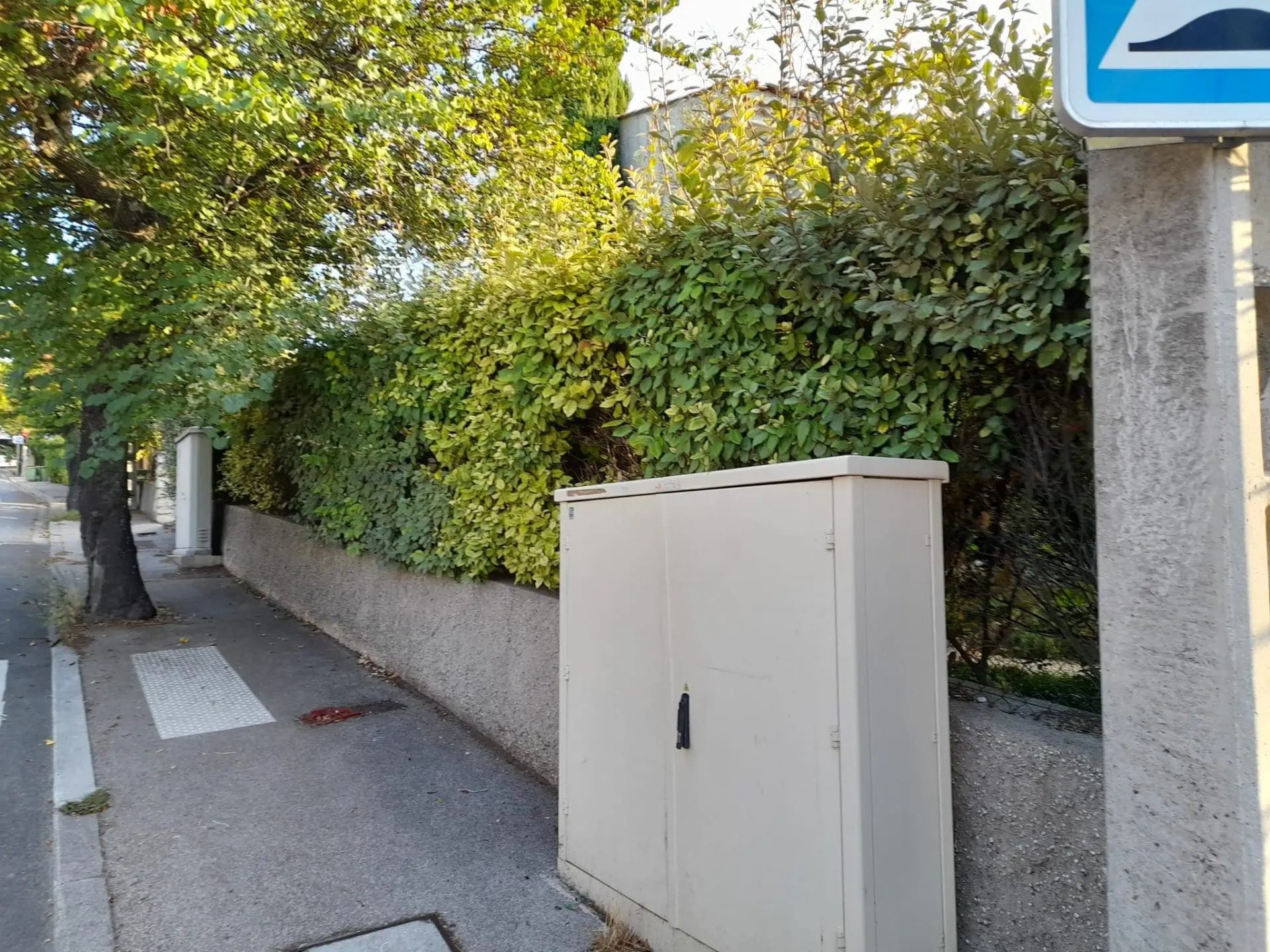 Le Paysagiste du Sud à Aix-en-Provence 20210906 083622 scaled