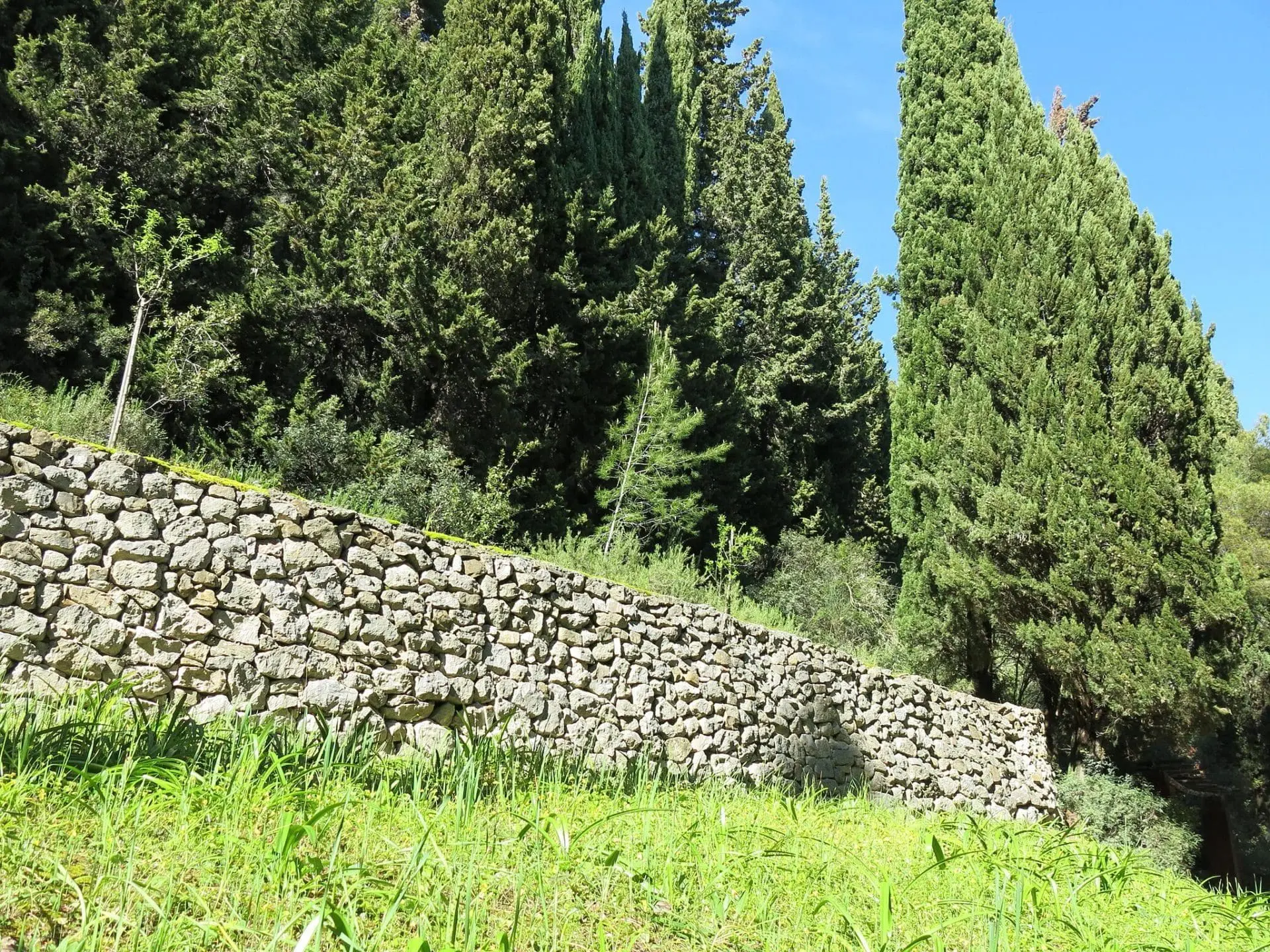 Mur en pierre sèche dans un jardin en restanques à Aix-en-Provence